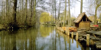 Spreewald Wald