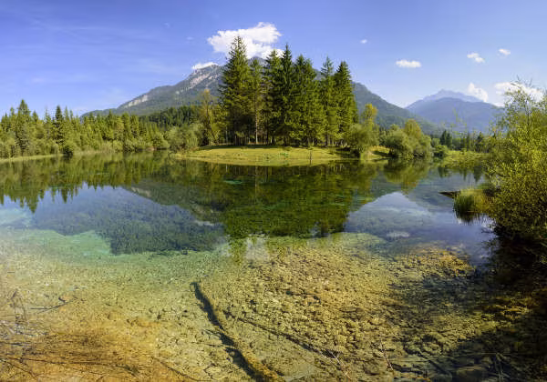 Alpense
