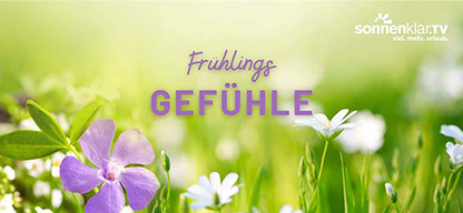 Frühlings-Gutschein, Blumenwiese
