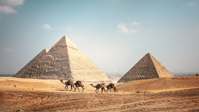 Pyramiden von Giza, Kamelzug in der Wüste, Ägypten