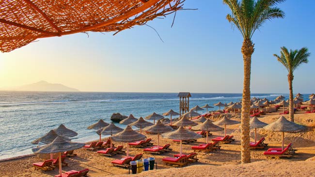 Ägypten, Standabschnitt mit Palmen und Liegen am Roten Meer