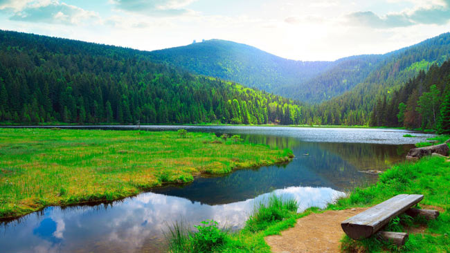 Bayerischer Wald, Kleiner Arbersee, Deutschland