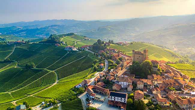 Italien - Toskana, Landschaft mit Weinbergen und Burg