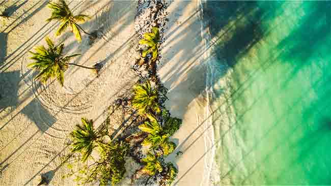 Karibik, Dominikanische Republik, Traumstrand mit Palmen und Meer