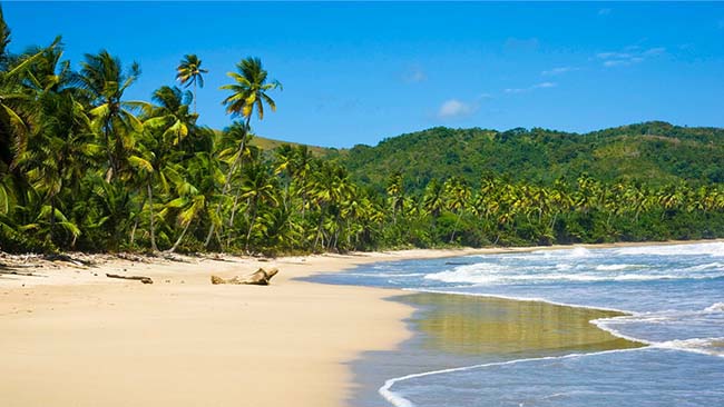 Karibik - Tobago, Traumstrand mit Palmen