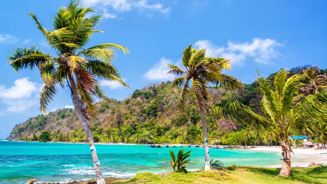 Drei Palmen, Panama, Strand, Nordamerika