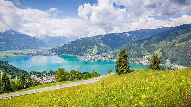 Seelandschaft mit Blumenwiese in, Österreich, Salzburger Land