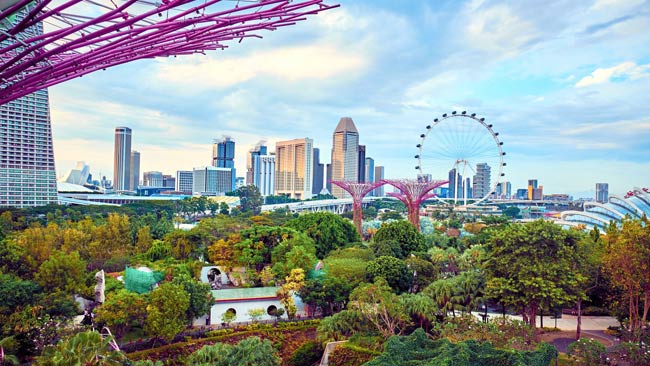 Supertree Groves im Gardens by the Bay, Singapur