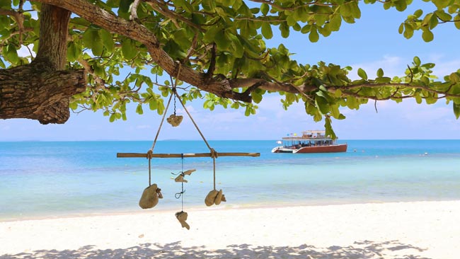 Thailand - Weißer Sandstrand in Pattaya, Tropischer Baum mit Windspiel