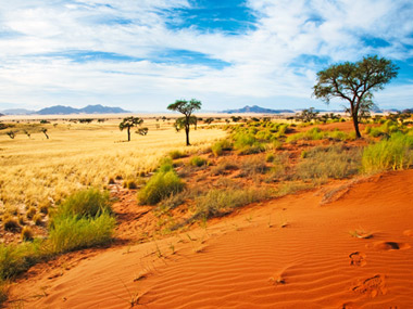 Namibia, Steppe 