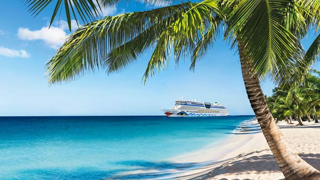 AIDA Kreuzfahrtschiff in der Karibik im Meer, Strandabschnitt mit Palmen