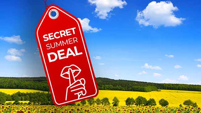 Deutschland - Bayerischer Wald, Secret Summer Deal, Wiese mit Sonnenblumen