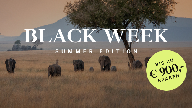 Visual Black Week Summer Edition Aktion Journaway mit Störer bis zu 900€ sparen