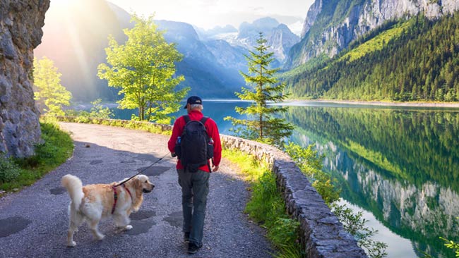 Aktiver Senior beim Wandern an Bergsee mit Golden Retriever Hund