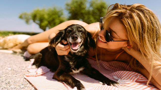 Junge Frau mit schwarzen Hund genießt Sommertag am See auf Picknickdecke