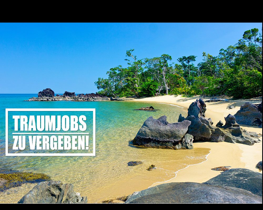 Sechs Richtige: Traumjobs beim Fernsehen zu vergeben