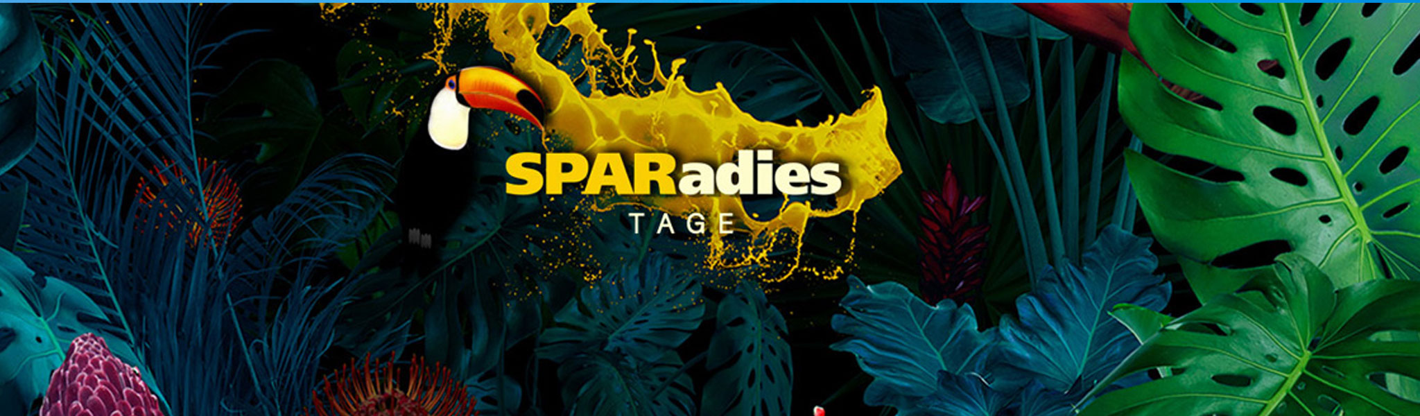 Sk App Aktionen