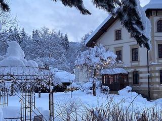 Lastminute Urlaub 2-3Pers. Herbstferien outlet Neubau Allgäu Schlösser