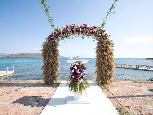 Cocos The Club Solto