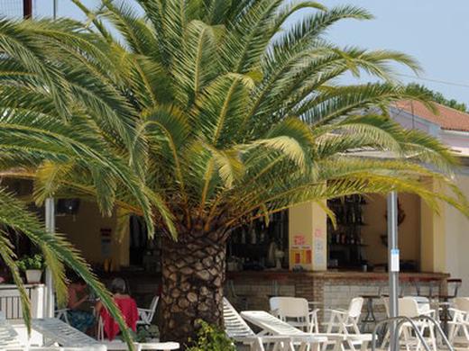 Captain's Studios & Apartments