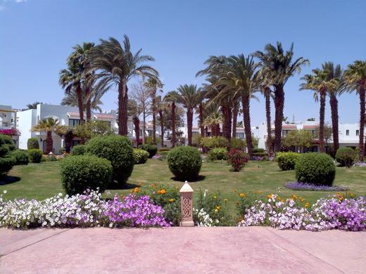 Lotus Bay Resort And Spa Abu soma