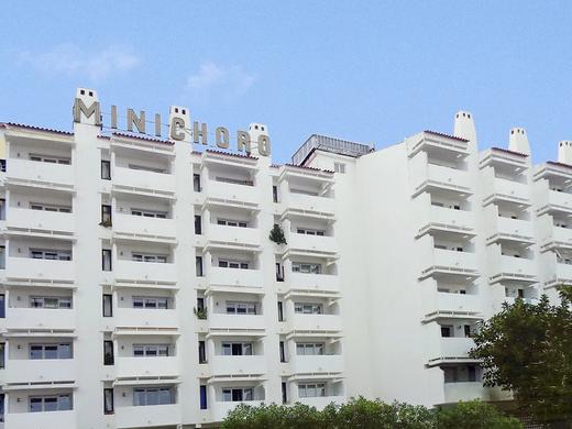 Cheerfulway Minichoro