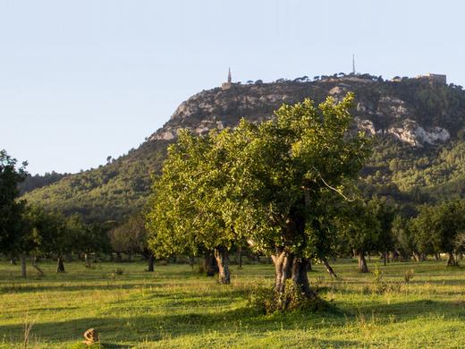 Sant Salvador Petit Hotel (Felanitx)