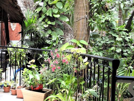 Eco-hotel El Rey del Caribe