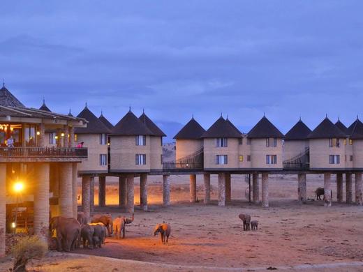 Salt Lick Safari Lodge