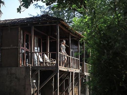 Woodpegger by The Beach