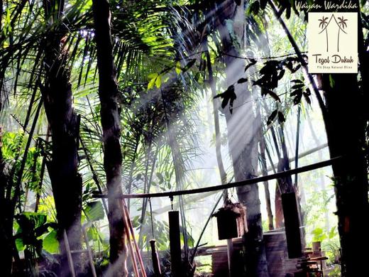 Tegal Dukuh Camp by ZUZU