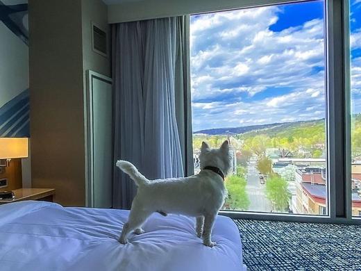 Ithaca Marriott Downtown on the Commons