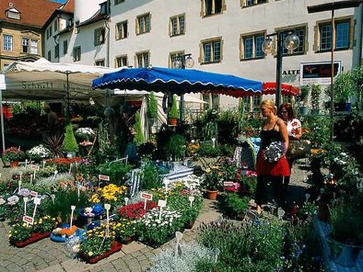 ibis Stuttgart Airport Messe