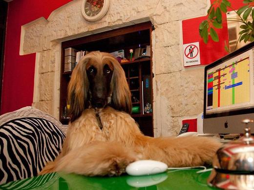 Miramare Cagliari Hotel Museo