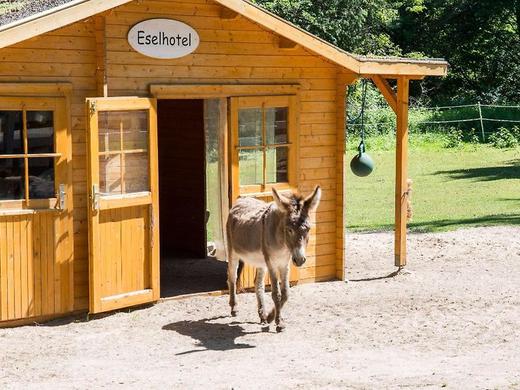 Best Western Seehotel Frankenhorst