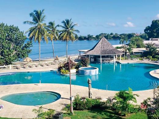Starfish Tobago
