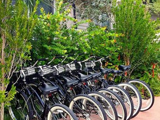 The Saint Hotel Key West, Autograph Collection, Adult Only