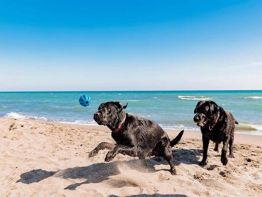 Gitavillage Club degli Amici