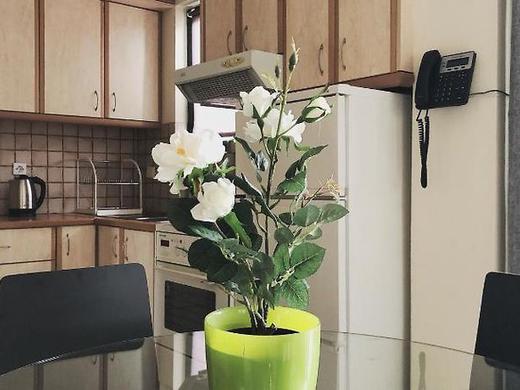 Mc Queen Cozy Apartments