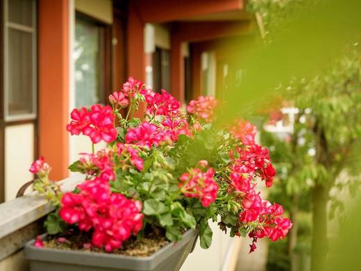 Campanile Hotel & Restaurant Brussels Airport Zaventem