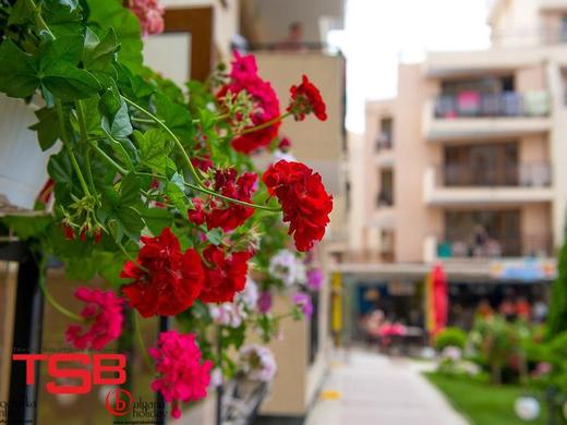 TSB Sunny Victory Apartments