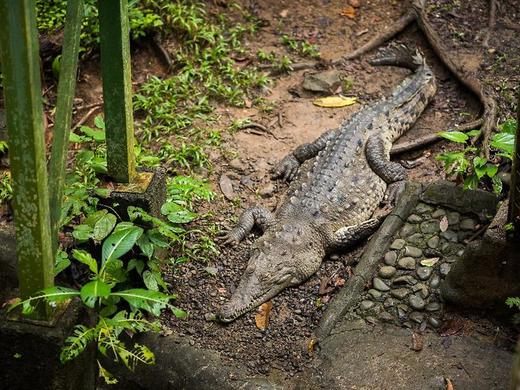 Si Como No Resort, Spa & Wildlife Refuge