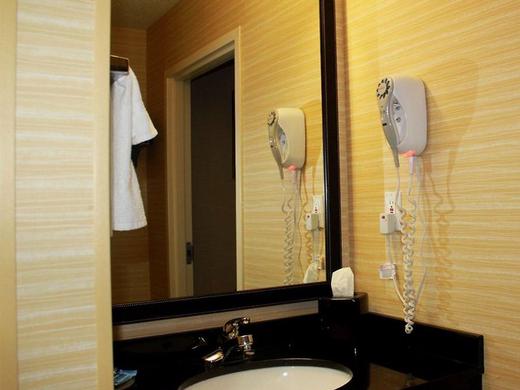 Fairfield Inn & Suites by Marriott Detroit Farmington Hills
