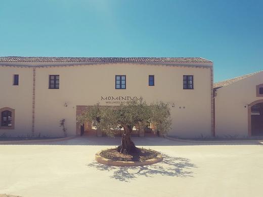 Momentum Wellness Bio-Resort