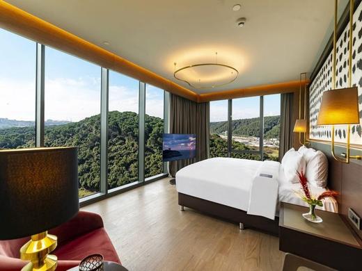 Radisson Blu Hotel, Vadistanbul