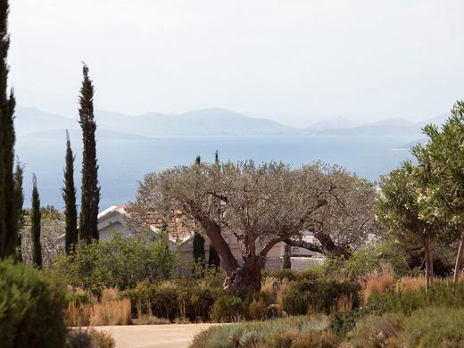 Amanzoe