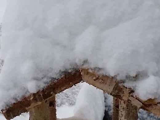 Pension Holl & Boll am Hexenstieg