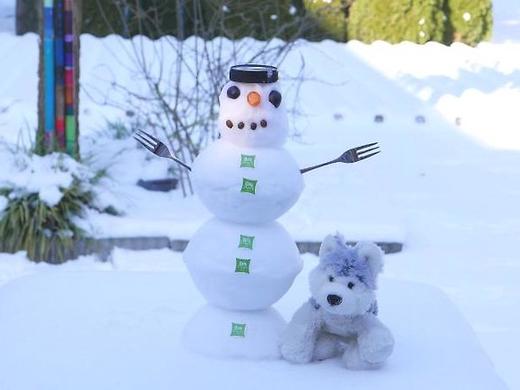 ibis Styles Linz Hotel