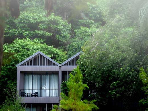 Flora Creek Chiang Mai