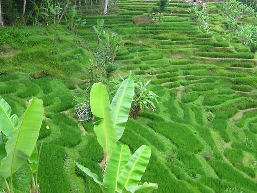 La Maison Du Bonheur Bersila